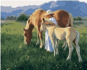 Girl Among Horses paint by numbers