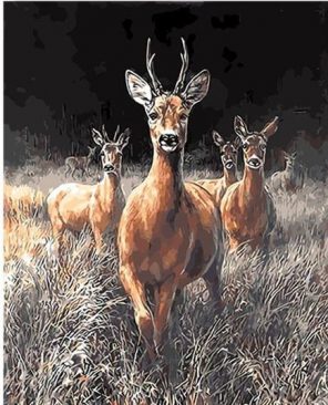 Grassland Deers paint by numbers