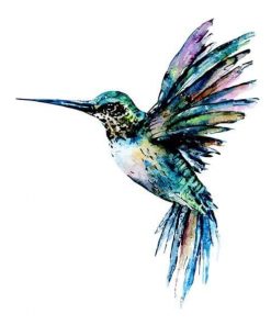 Hummingbird in blue green colors paint by numbers