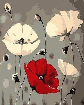 Red White Poppy Flowers paint by numbers