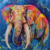 Splatter Elephant paint by numbers