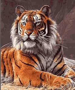 Tiger paint by numbers