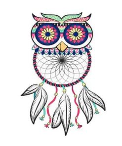Dream-catcher-Owls-adult-paint-by-numbers