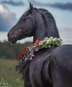 Black Horse paint by number