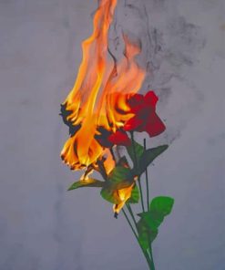 Rose On Fire paint by numbers