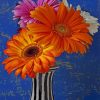 Barberton Daisies paint by numbers
