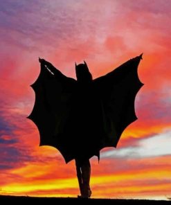 Bat Woman Silhouette paint by numbers