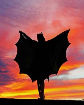 Bat Woman Silhouette paint by numbers