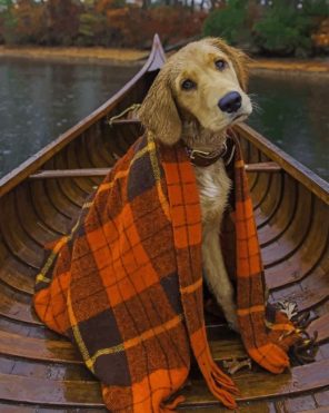 Dog With A Red Blanket In A Boat Paint By Numbers