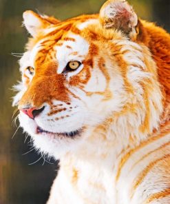 Golden Tiger paint by numbers
