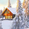 Norwegian Cabin In Snow paint by numbers