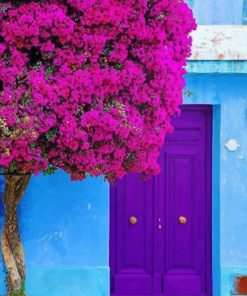 Purple Door paint by numbers