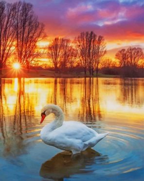 Sunset Swan In Lake paint by numbers