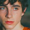 Timothee Chalamet Portrait paint by numbers
