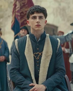 Timothee Chalamet The King Paint by numbers