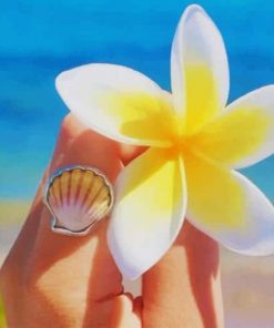 White And Yellow Frangipani Flower paint by nu