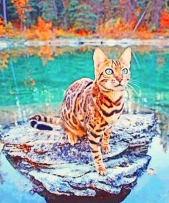 Bengal Cat On Lake Rock paint by numbers