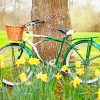 Bike In Nature paint by numbers