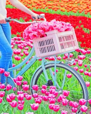 Bike In Tulips Field paint by numbers