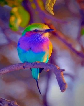 Colorful Bird paint by numbers