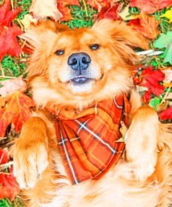 Fall Dog paint by numbers