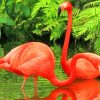 Flamingos Bird paint by numbers
