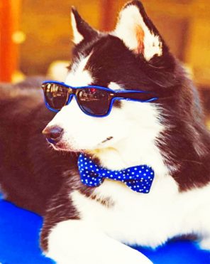 Husky With Sunglasses paint by numbers