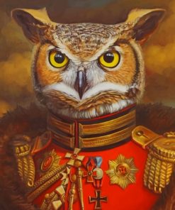 Mr Owl Paint by numbers