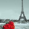 Red Flowers In Paris paint by numbers