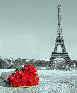 Red Flowers In Paris paint by numbers