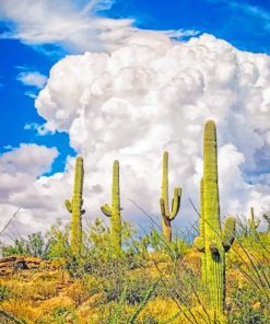 Saguaro National Park paint by numbers