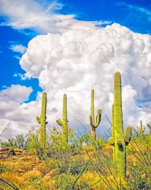 Saguaro National Park paint by numbers