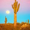 Saguaro Plant Paint by numbers