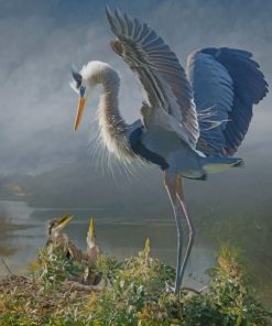Vintage Great Blue Heron Paint by numbers