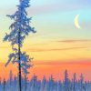 Winter Scenery paint by numbers