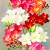 Aesthetic Flowers paint by numbers