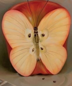 Apple Butterfly Paint by numbers