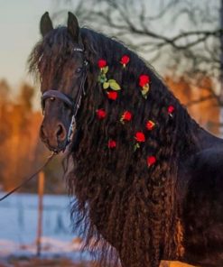 Black Horse With Red Flowers paint by numbers