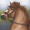 Brown Horse paint by numbers