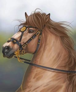 Brown Horse paint by numbers