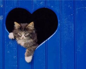 Cat Looking Through Heart Shaped Hole paint by numbers