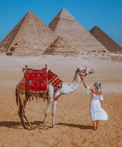 Girl And Camel In Egypt The Great Pyramid Of Giza paint by numbers