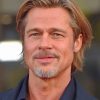 Handsome Brad Pitt Paint by numbers