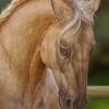 Beige Horse Paint by numbers