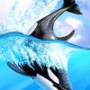 Orca Whale Art paint by numbers