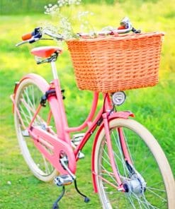 Pink Bicycle With Basket paint by numbers
