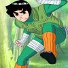 Rock Lee paint by numbers
