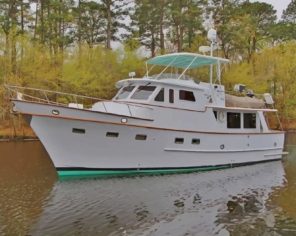 Sea Princess Defever 49 Paint by numbers