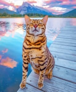 Bengal Cat In A Seascape paint by numbers