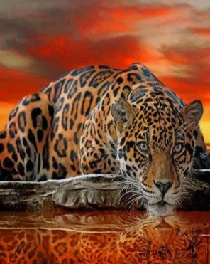 Tiger Water Reflection paint by numbers